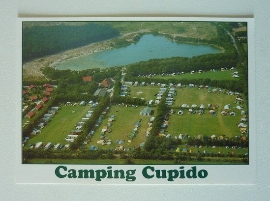 Terschelling Hee Cupido van Leers ongelopen, Ophalen, 1960 tot 1980, Ongelopen, Waddeneilanden