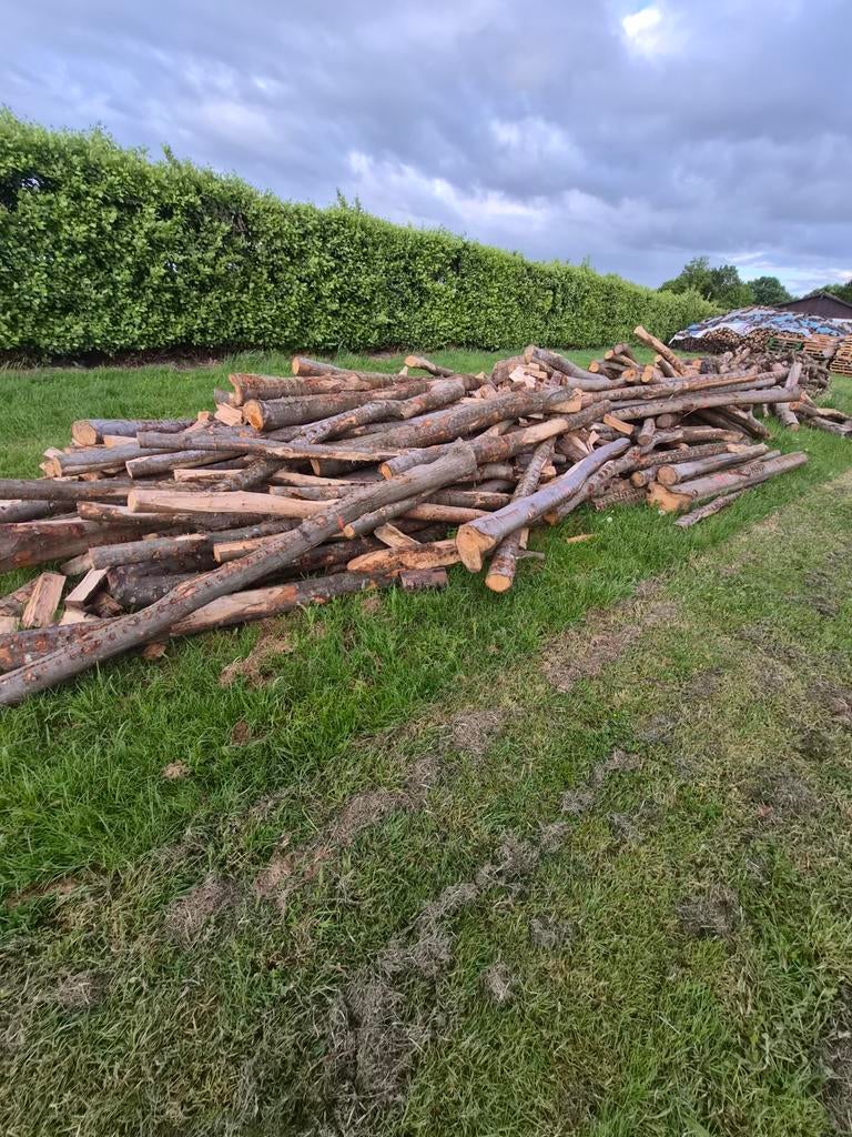 Brandhout, Tuin en Terras, Haardhout, 6 m³ of meer, Ophalen, Eikenhout, Stammen