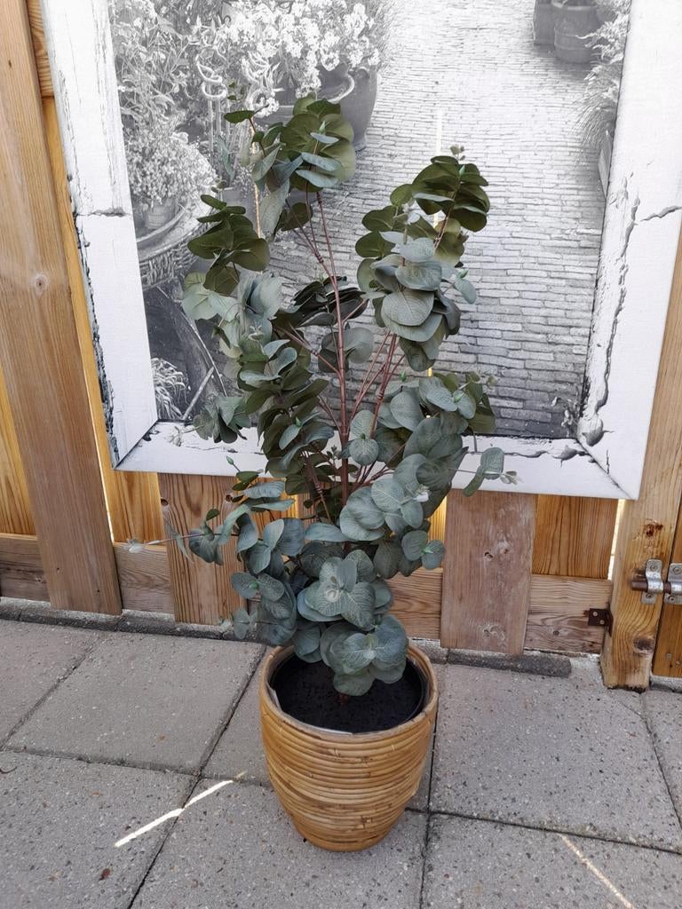 Eucalyptus kunst boompje in bamboe pot, Verzenden