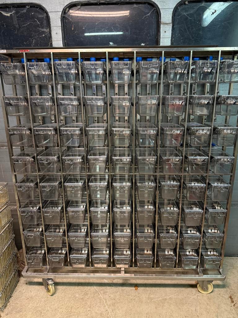 Tecniplast Lab Stelling voor Muizen/Dwerghamsters Kweek, Overige typen, Minder dan 75 cm, Zo goed als nieuw, Ophalen