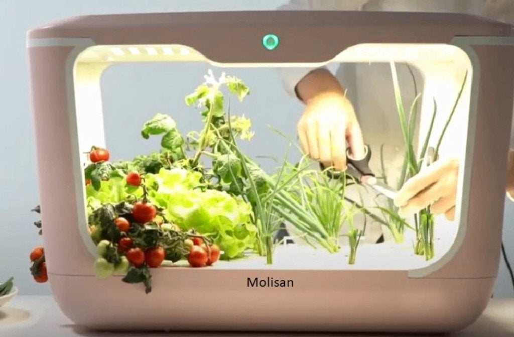 Smart grow box, Info@opruimdeals.nl, Ophalen of Verzenden, Zo goed als nieuw, Nijverheidscentrum 44