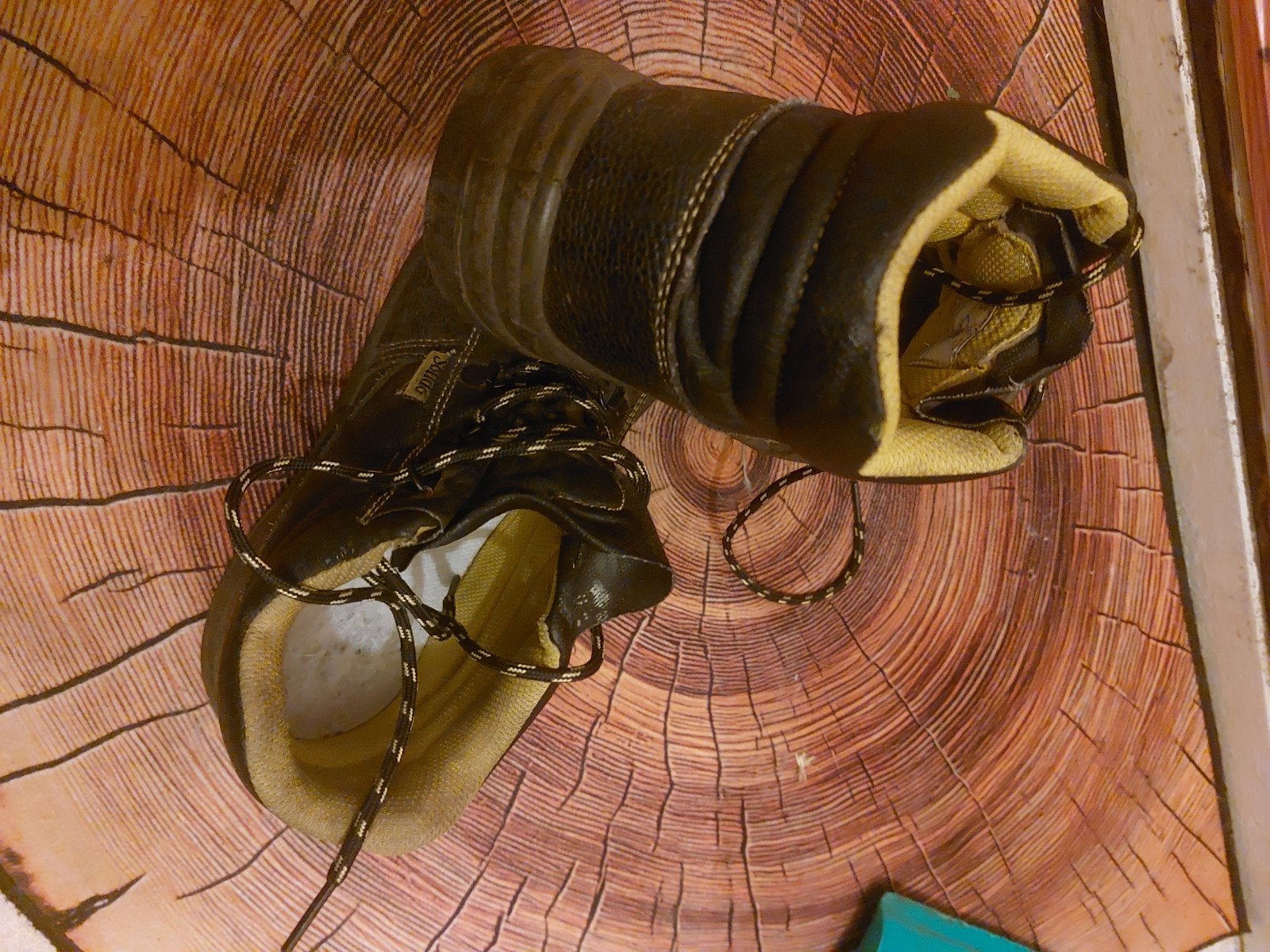 werk schoenen mt.42, Dieren en Toebehoren, Insecten en Spinnen, Bijen