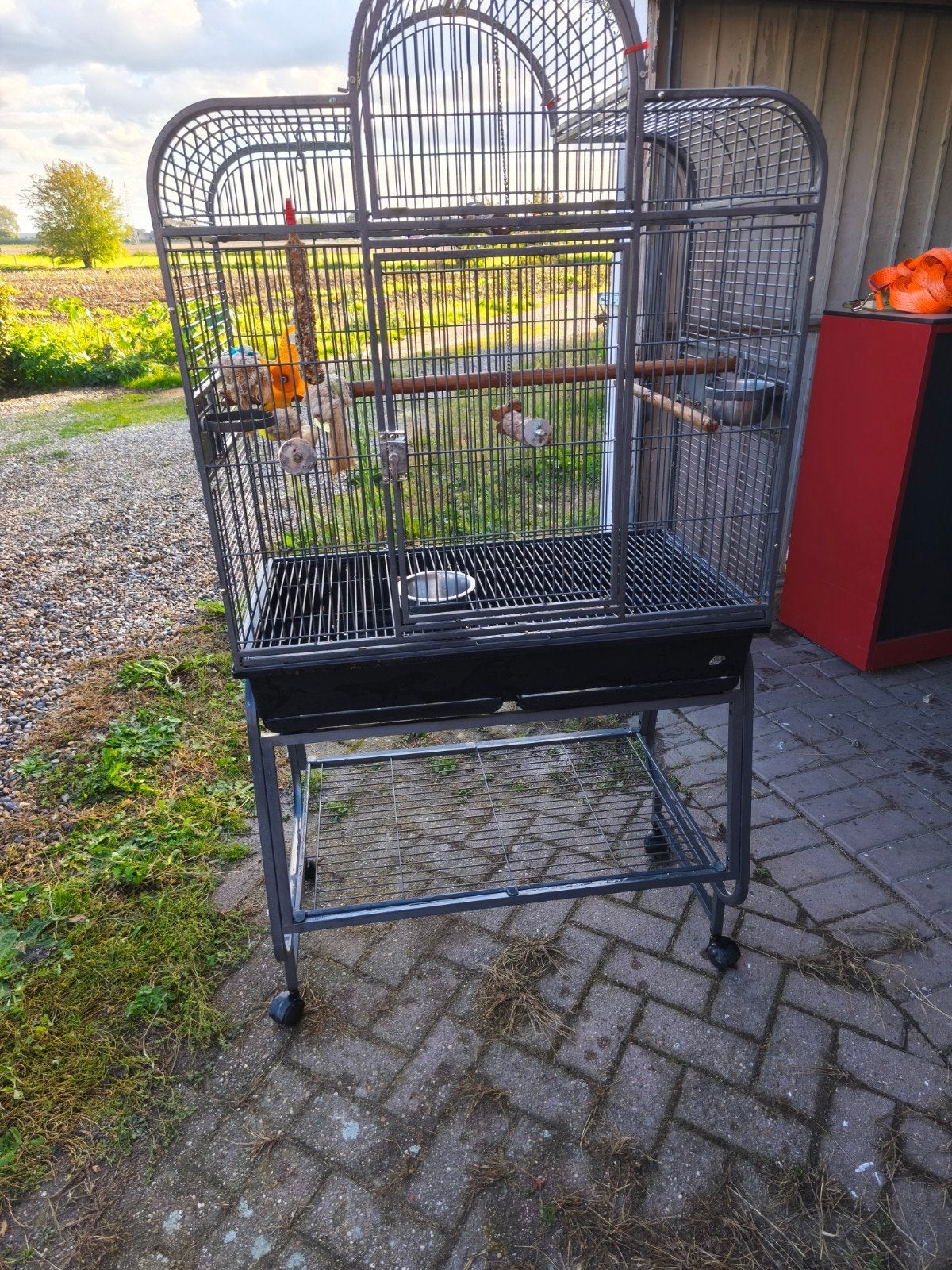 papegaai kooi, Ophalen of Verzenden, Metaal, Vogelkooi