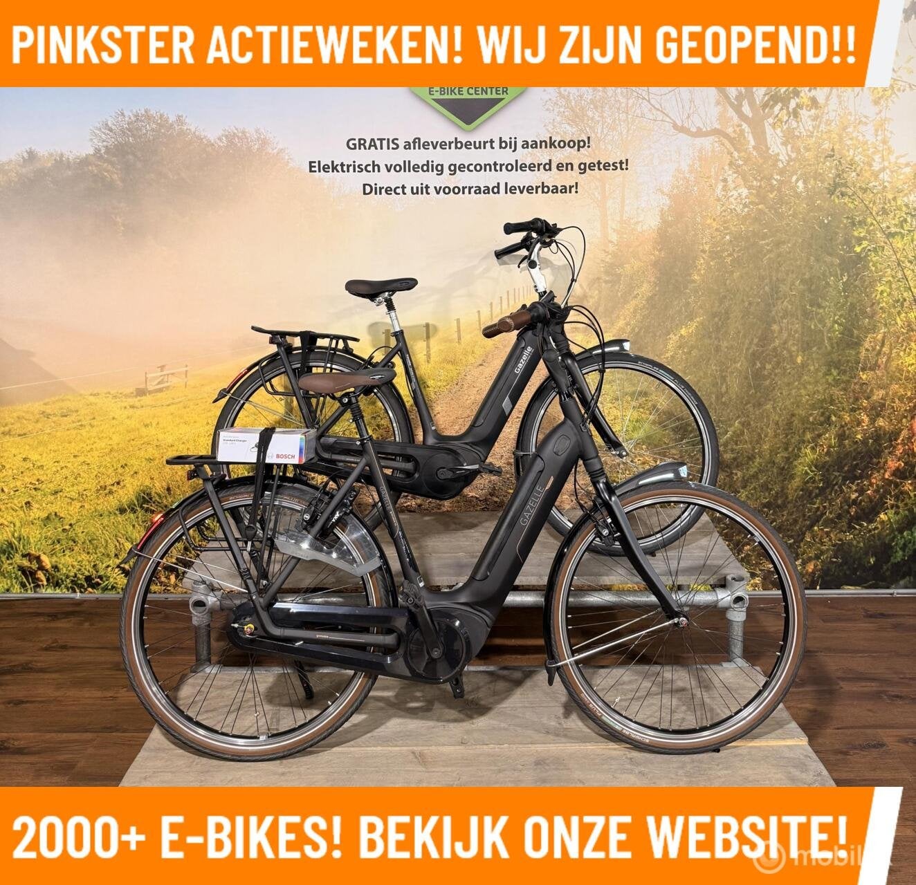 Gazelle Grenoble Elektrische fiets setje verkrijgbaar MRA, Gazelle