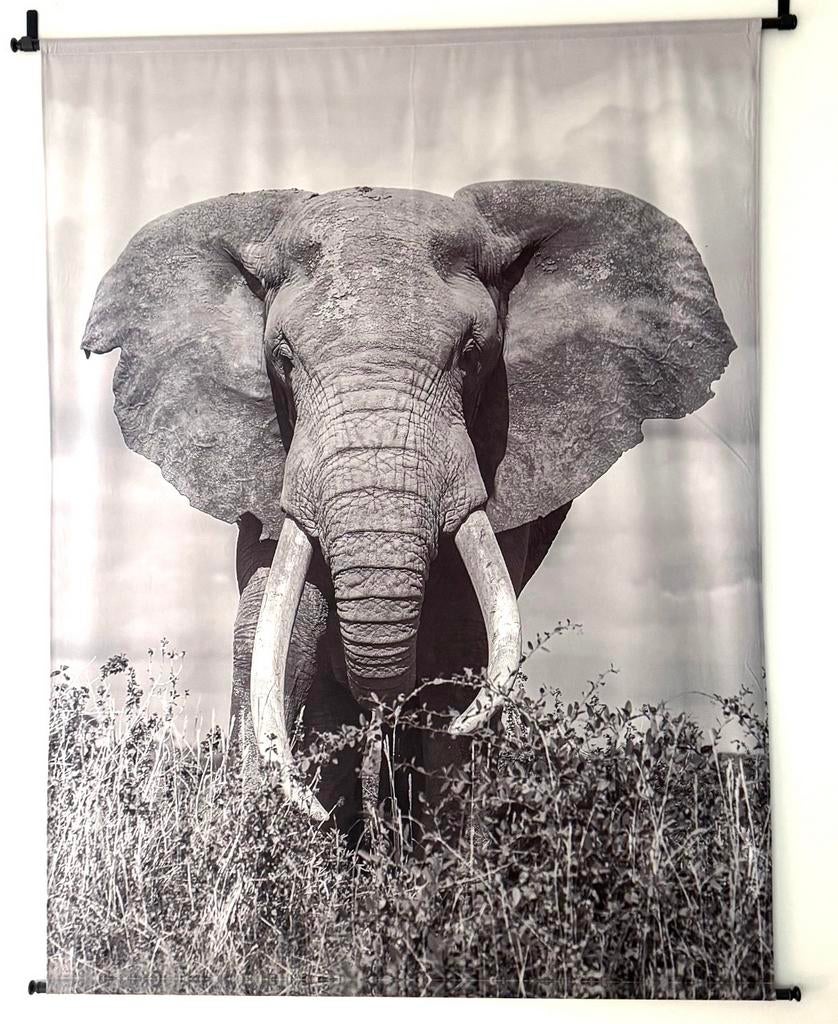 Groot wandkleed met olifant - Zwart-wit, Zwart, Ophalen of Verzenden, Zo goed als nieuw, Met ophangsysteem