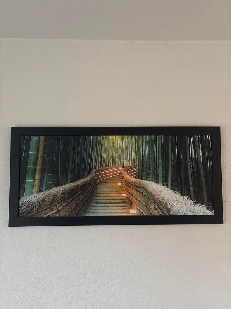 Canvas bamboe oerwoud, Ophalen, Gebruikt, 75 tot 100 cm, Print