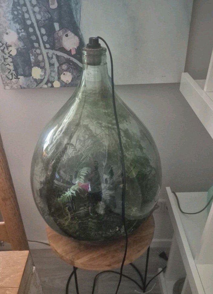 XL glazen druppelterrarium: 10 jaar zelfvoorzienend, Huis en Inrichting, Ophalen, Groen, Gebruikt, Overige stijlen