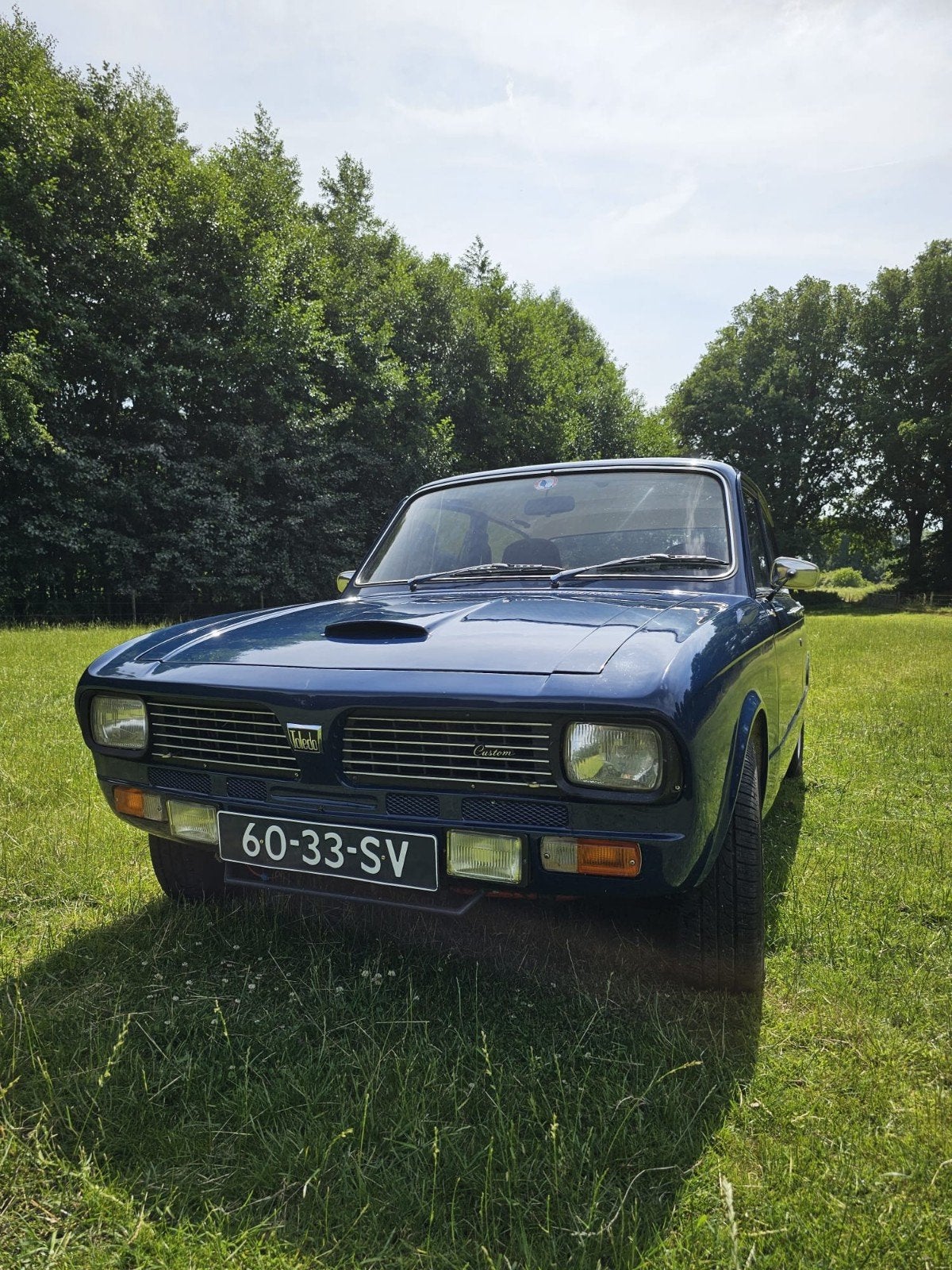 Triumph Toledo (Dolomite), Auto-onderdelen, Ophalen, Triumph