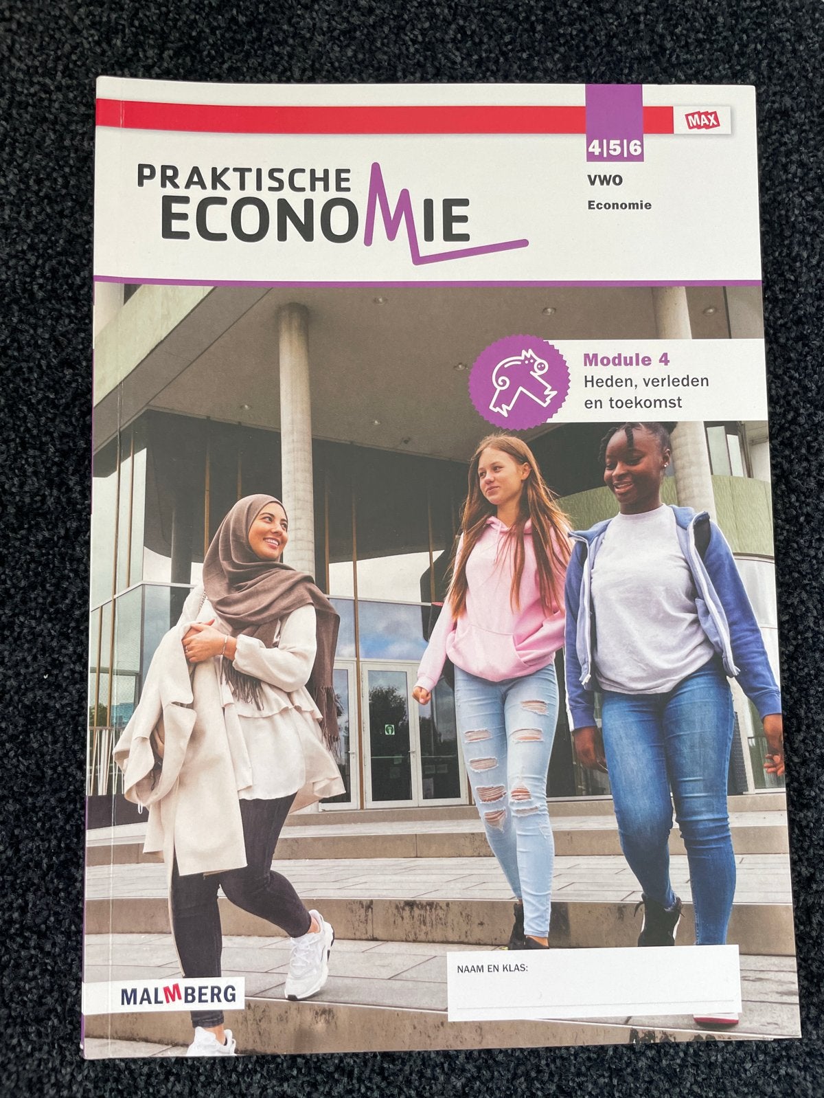 Praktische Economie VWO Module 4 Malmberg, Boeken, Ophalen of Verzenden, Gelezen, VWO, Economie