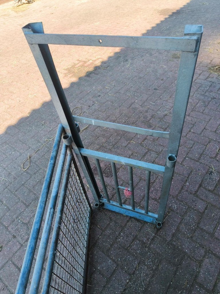 Optrekpoort veno, Mannelijk, Schaap