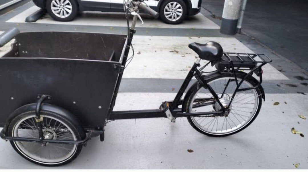 Degelijke Elektrische Bakfiets voor Kinderen/Honden, Fietsen en Brommers, Fietsen | Bakfietsen, Gebruikt, Goederen, Elektrisch