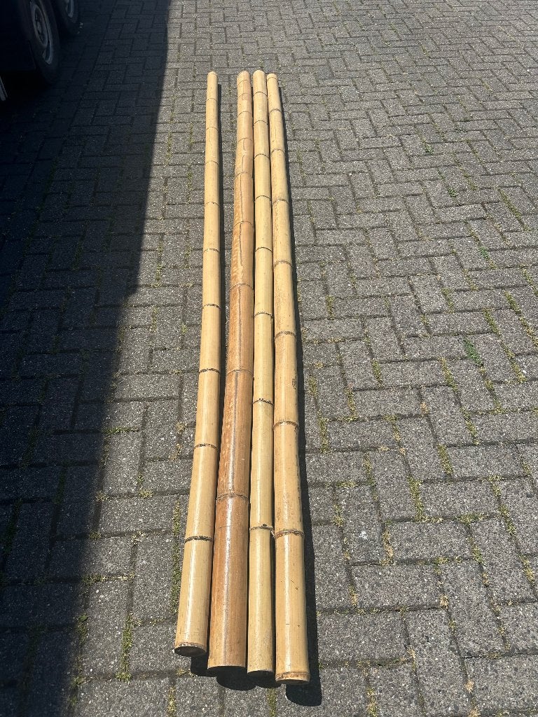 Bamboe palen 3 meter, Ophalen, Zo goed als nieuw, 250 cm of meer, Palen