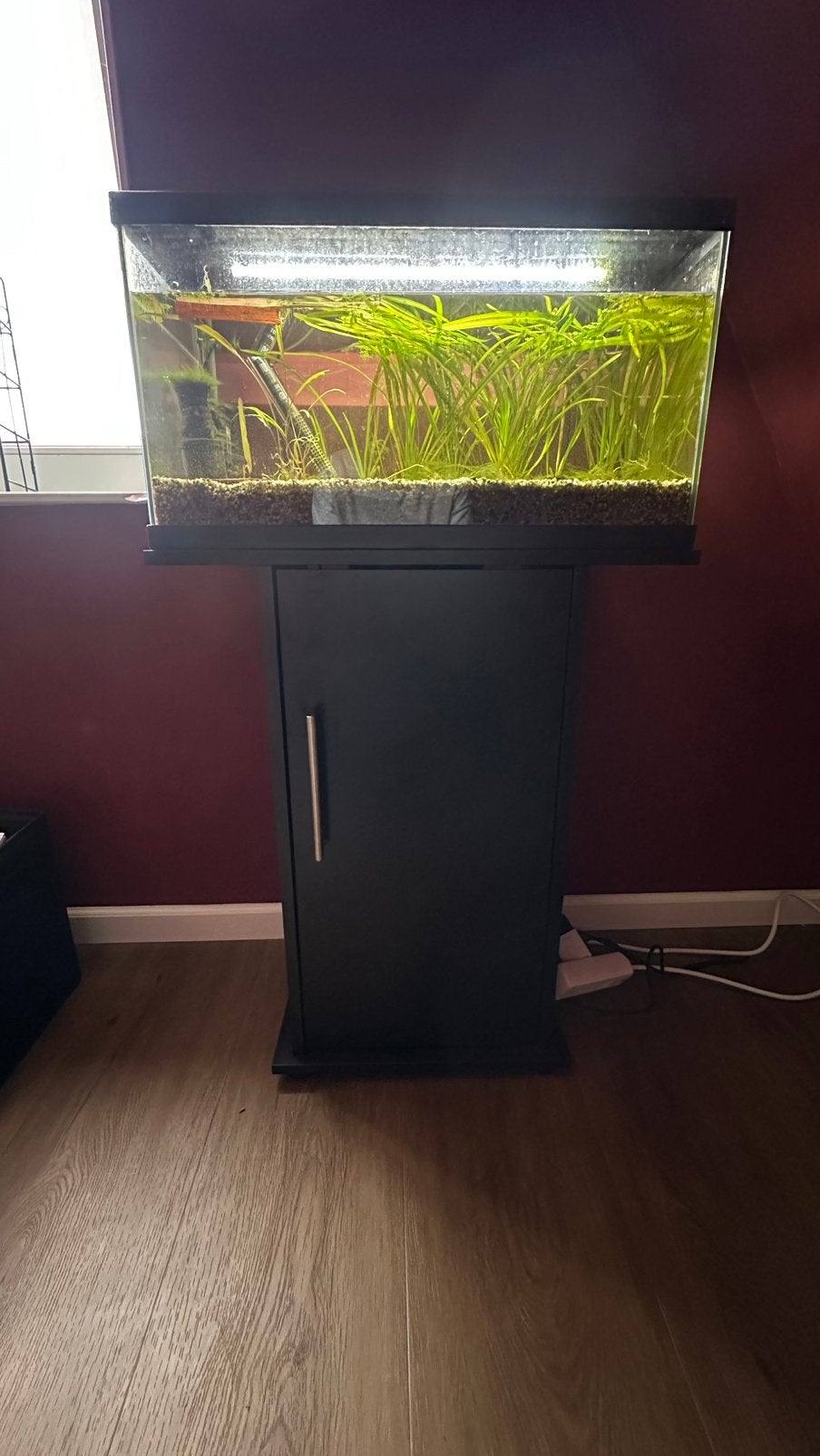 Aquarium met veel toebehoren, Dieren en Toebehoren, Vissen | Aquaria en Toebehoren, Ophalen, Gebruikt, Overige merken, Leeg aquarium