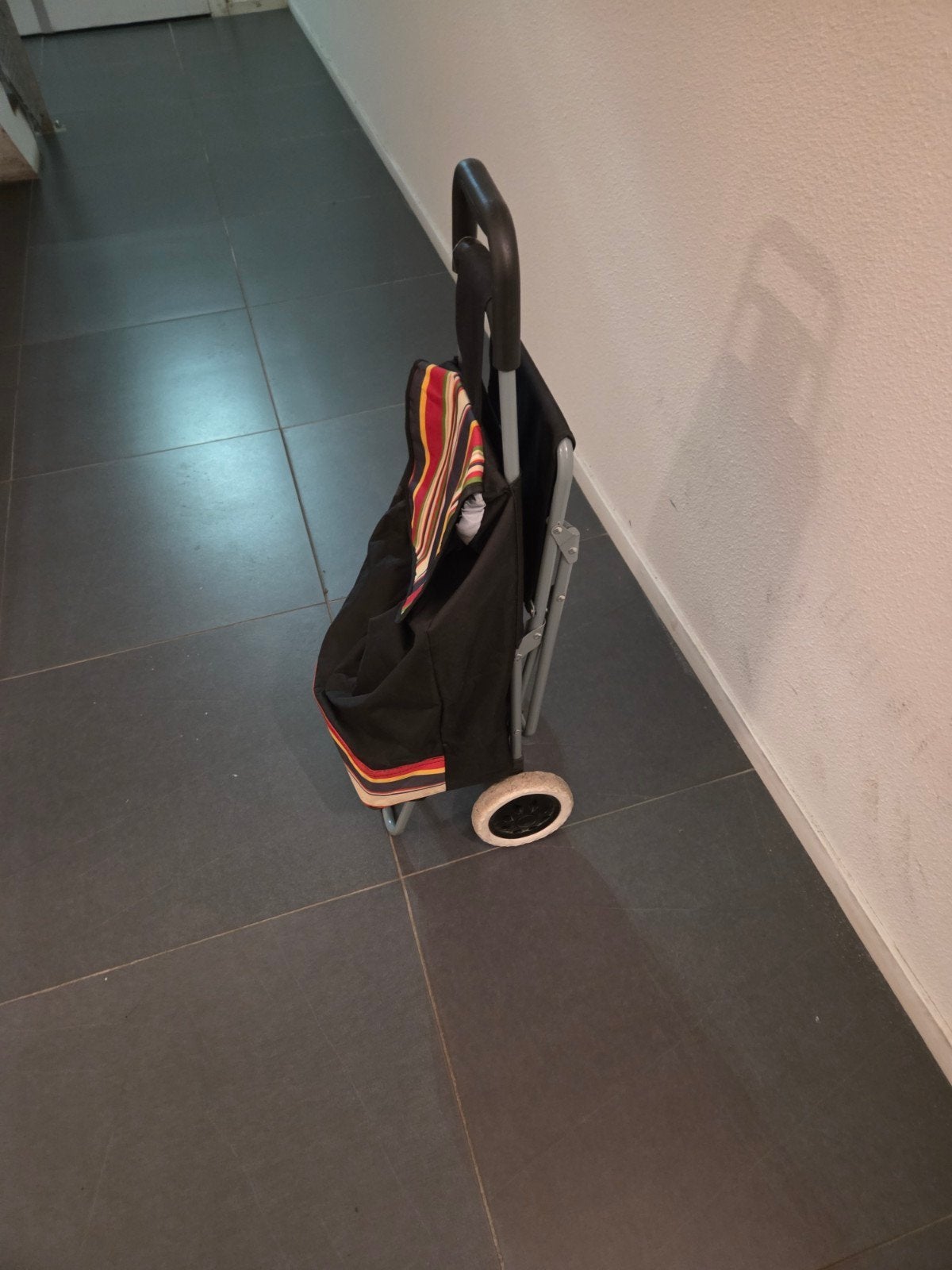 Boodschappentrolley, 30 cm of meer, Gebruikt, 80 cm of meer, 55 tot 75 cm