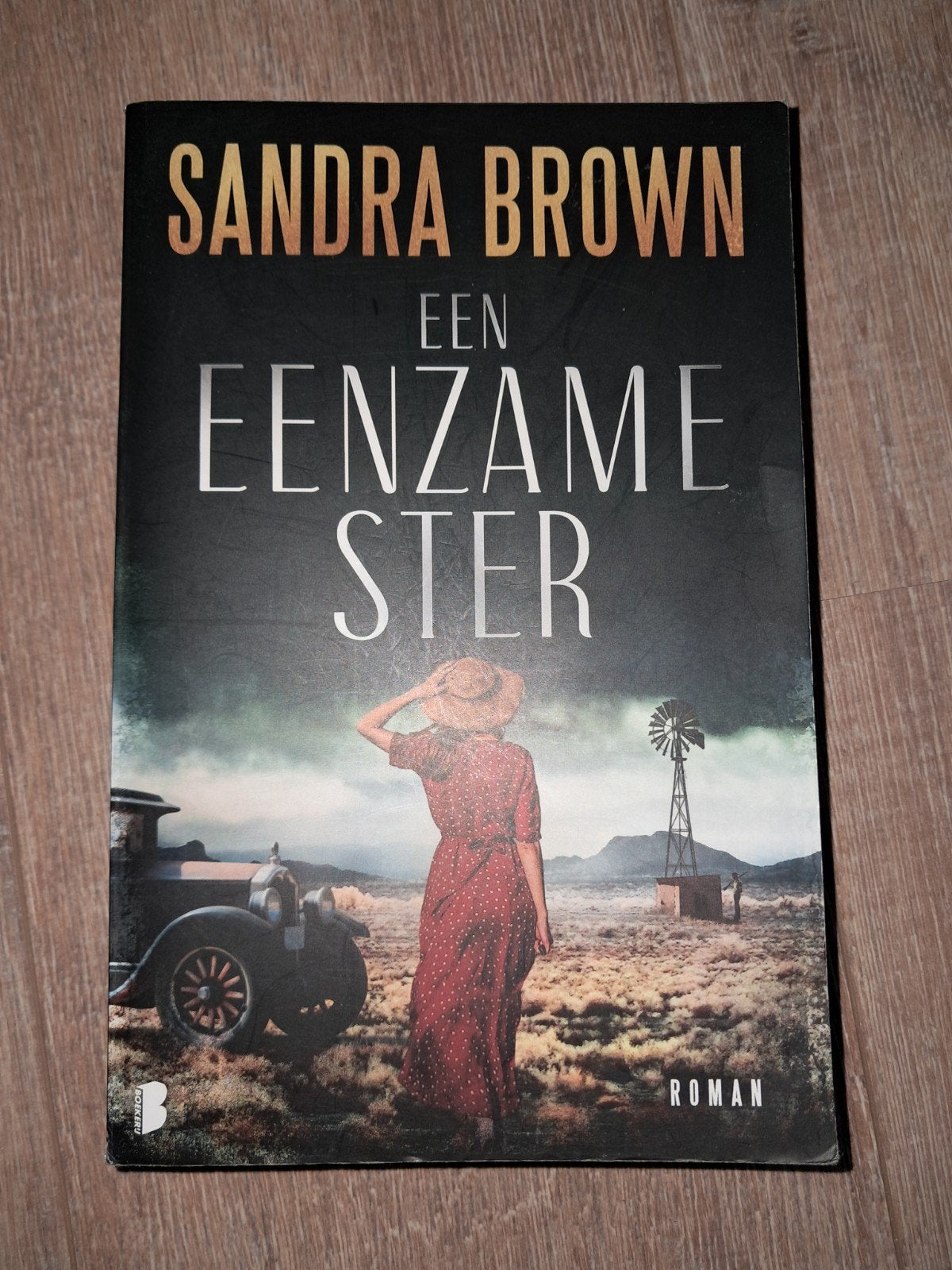 Sandra Brown - Een Eenzame Ster, Ophalen of Verzenden, Gelezen, Sandra Brown