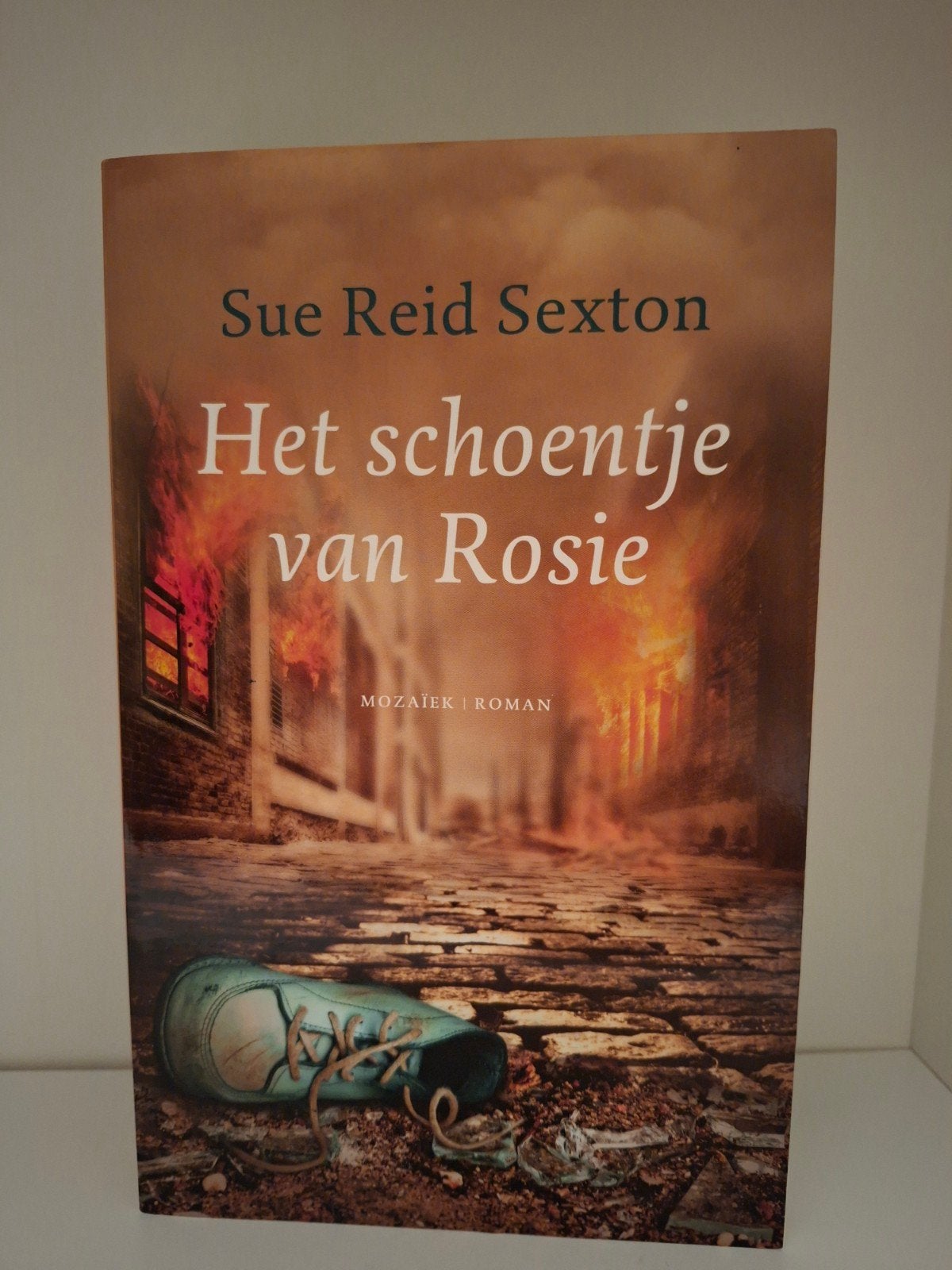 Sue Reid Sexton - Het schoentje van Rosie, Ophalen of Verzenden, Zo goed als nieuw, Sue Reid Sexton
