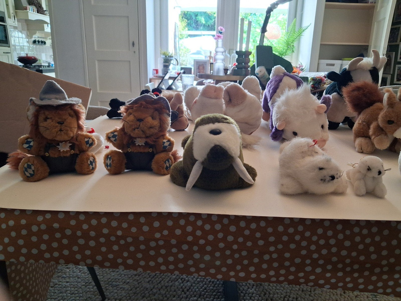Diverse knuffels: beren, eekhoorn, koeien, leeuwen, walrus, Gebruikt, Beer, Ophalen of Verzenden, Middelgroot (20 tot 80 cm)