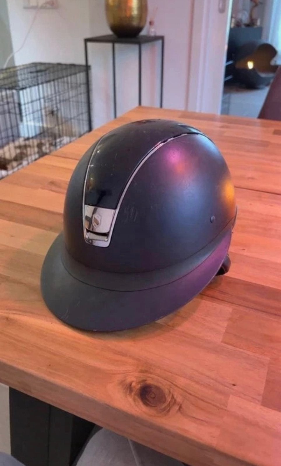 Missshiel samshield, Ophalen, Gebruikt, Dressuur, Schoeisel