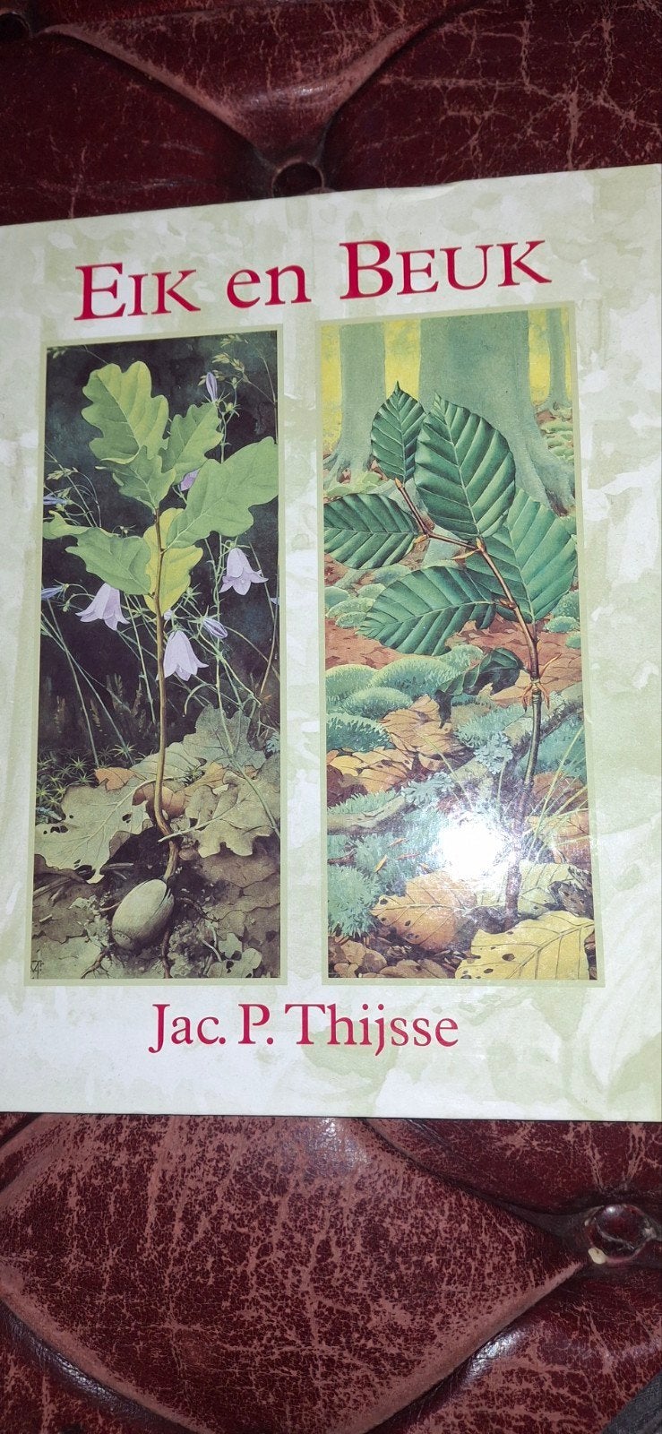 Eik en Beuk - Jac. P. Thijsse (Natuurboek), Boeken, Ophalen of Verzenden, Zo goed als nieuw, Bloemen, Planten en Bomen, Jac. P. Thijsse