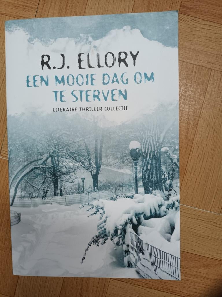 R.J. Ellory - Een mooie dag om te sterven (Primera thriller), Ophalen of Verzenden, Zo goed als nieuw, R.J. Ellory