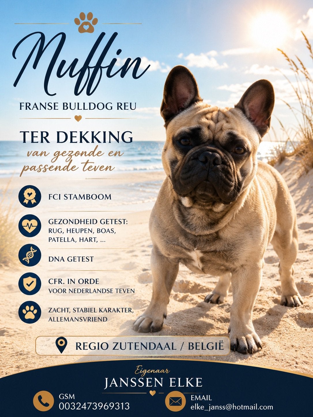 Franse bulldog ter dekking met FCI stamboom, Dieren en Toebehoren, Honden | Dekreuen, België, Particulier, Reu, 1 tot 2 jaar