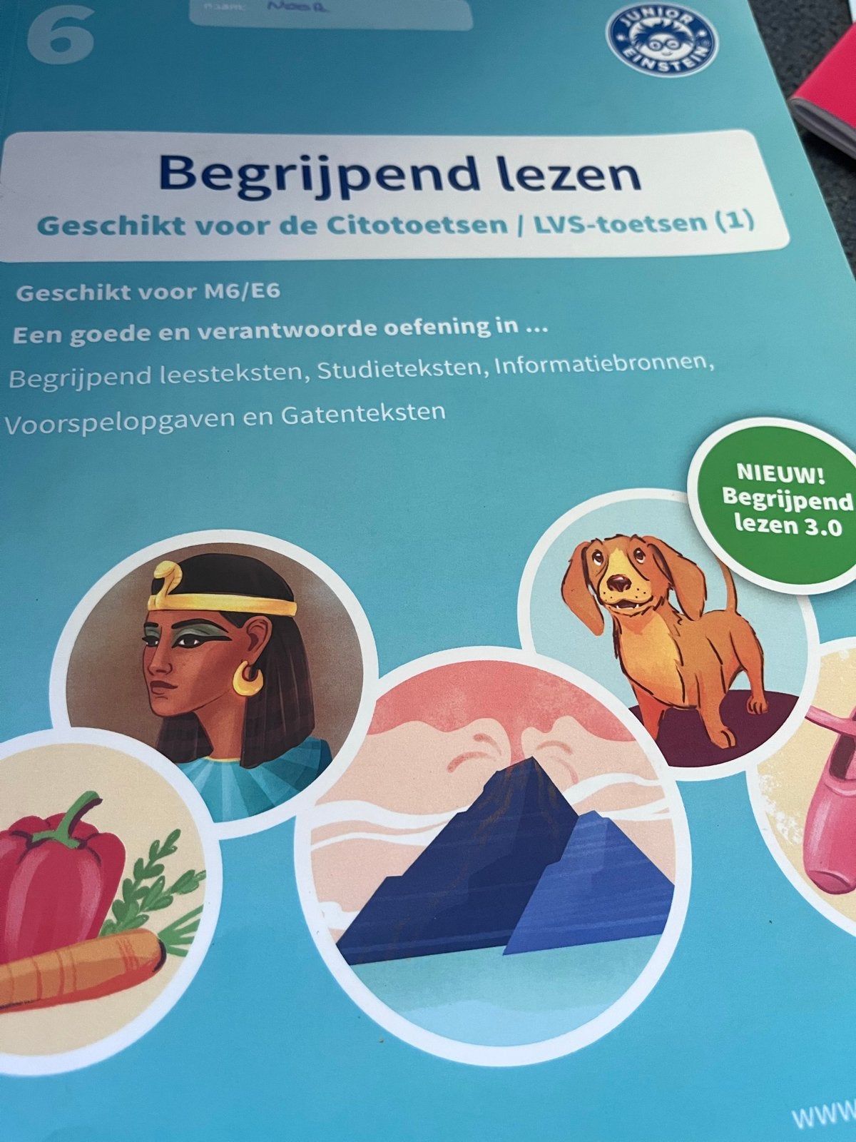 Junior Einstein Begrijpend Lezen 3.0 M6/E6, Ophalen, Zo goed als nieuw, Overige niveaus, Nederlands