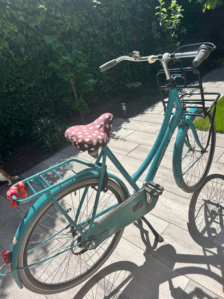 Cortina Stationsfiets, Terugtraprem, Versnellingen, Ophalen, Overige merken