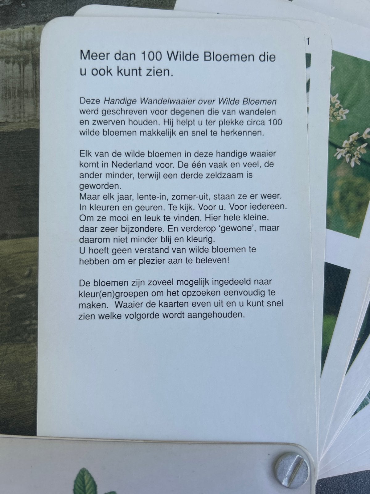 Handige Wandelwaaier over Wilde Bloemen - Kees Kervels, Boeken, Natuur, Ophalen of Verzenden, Zo goed als nieuw, Bloemen, Planten en Bomen