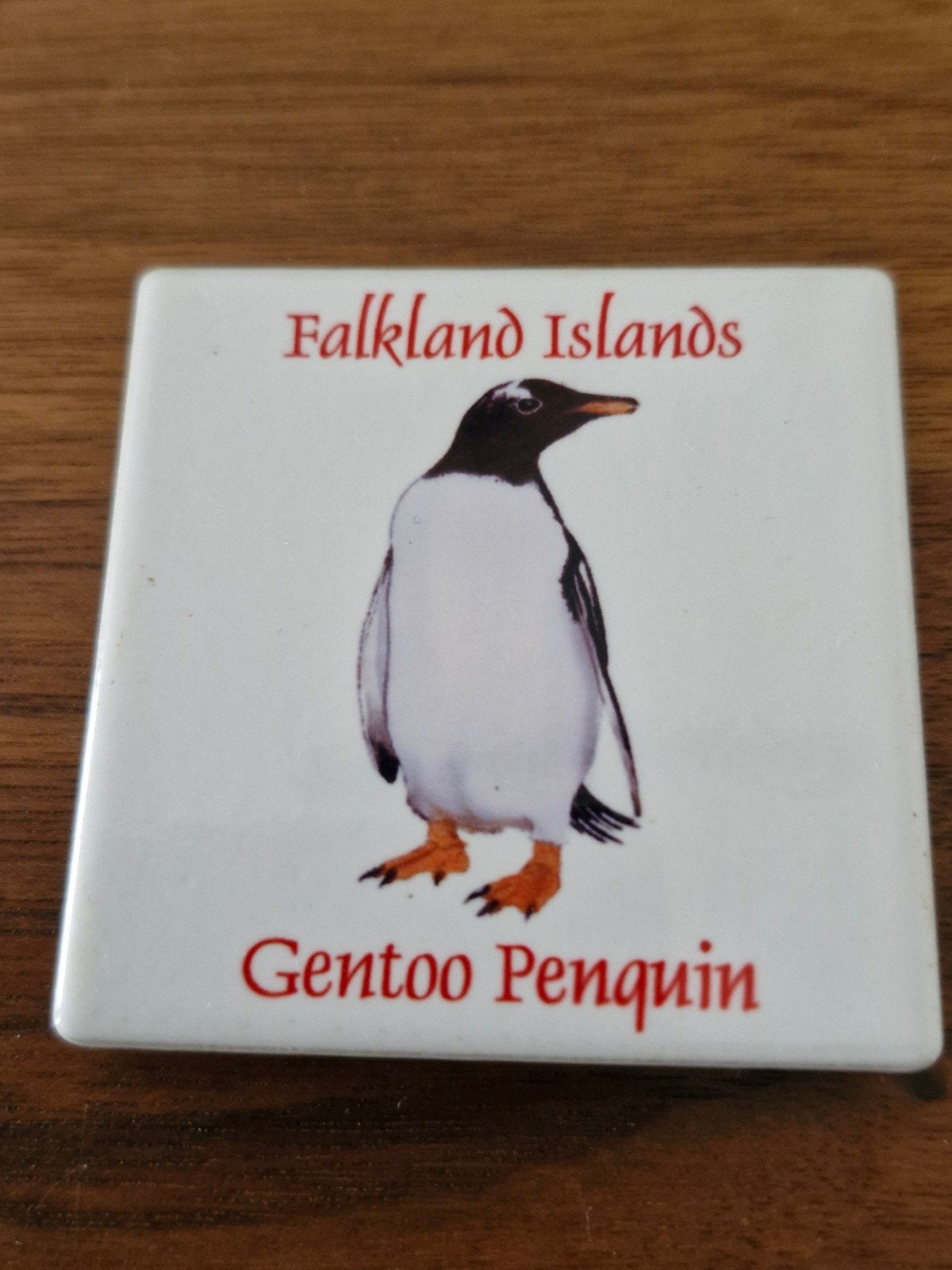 Koelkastmagneet Falklandeilanden - Gentoo Pinguïn, Ophalen of Verzenden, Zo goed als nieuw