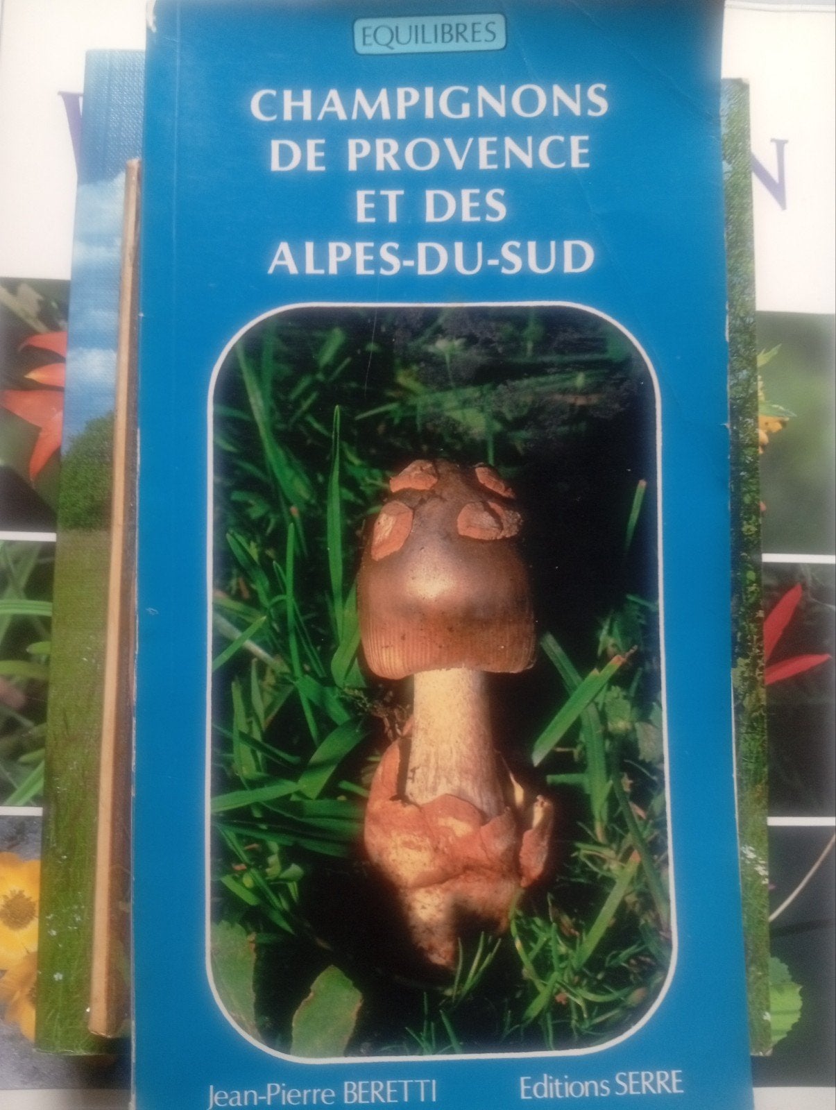 Paddenstoelenboek: Champignons de Provence et des Alpes, Ophalen of Verzenden, Gelezen, Bloemen, Planten en Bomen, Jean-Pierre Beretti