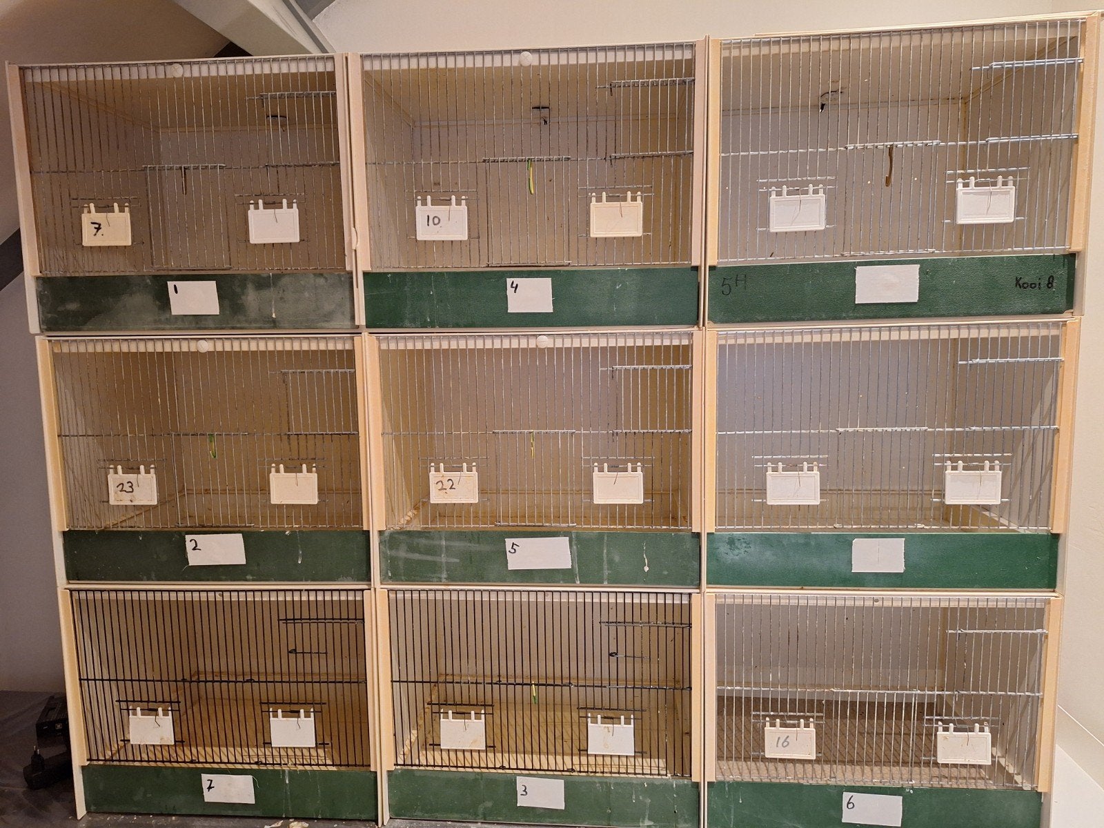 Heesakkers kooi 1 x 100cm x40x40 cm en 7 x 50x40x40, Dieren en Toebehoren, Ophalen, Kunststof, Broedkooi of Kweekkooi