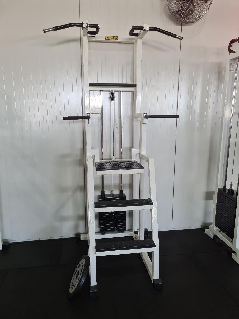 Technogym Isotonic Assisted Pull Up Machine / Tricep Dip, Sport en Fitness, Ophalen of Verzenden, Gebruikt, Benen, Overige typen