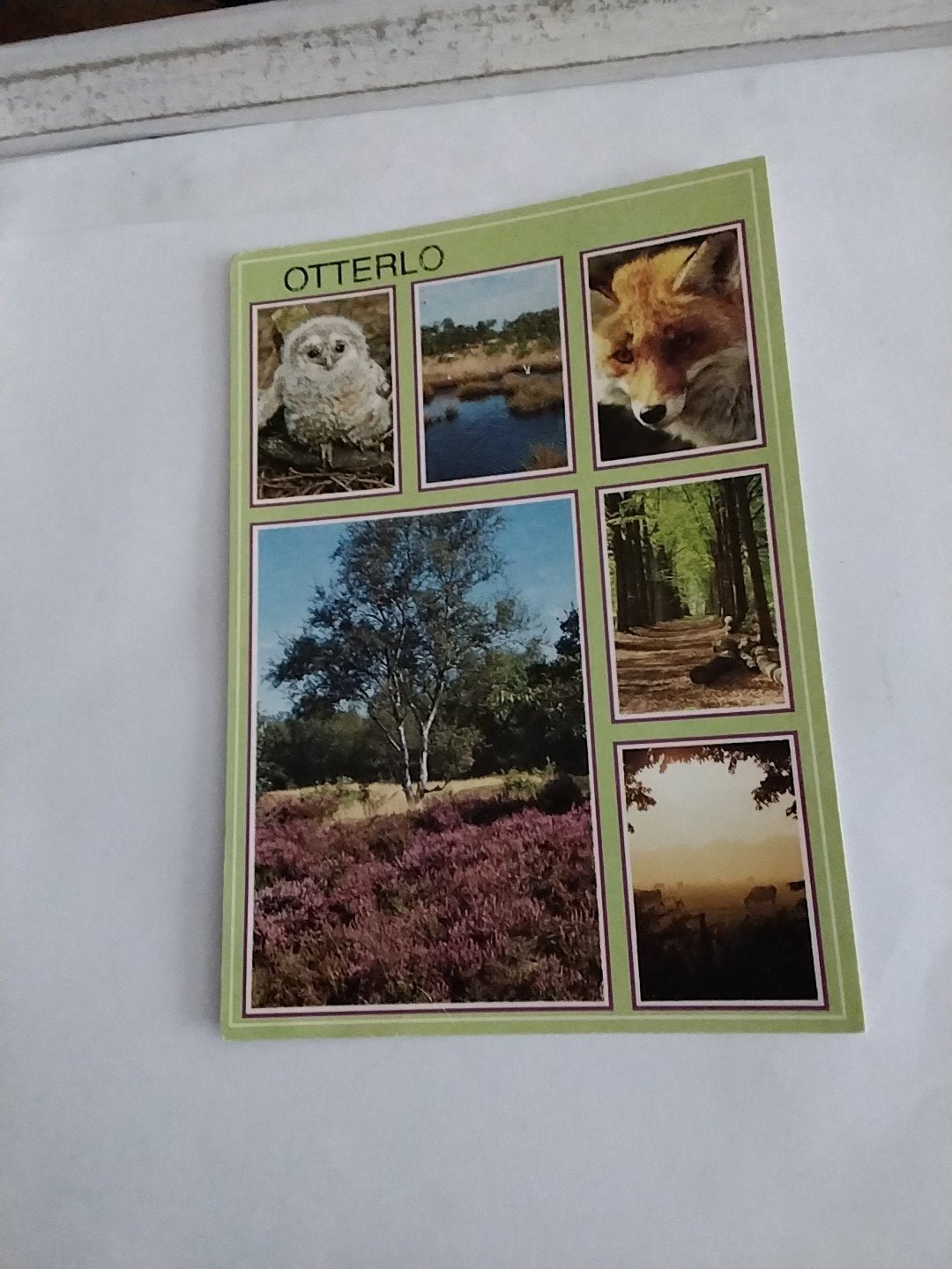 Ansichtkaart Otterlo - Gelopen, Ophalen of Verzenden, 1980 tot heden, Gelopen, Gelderland