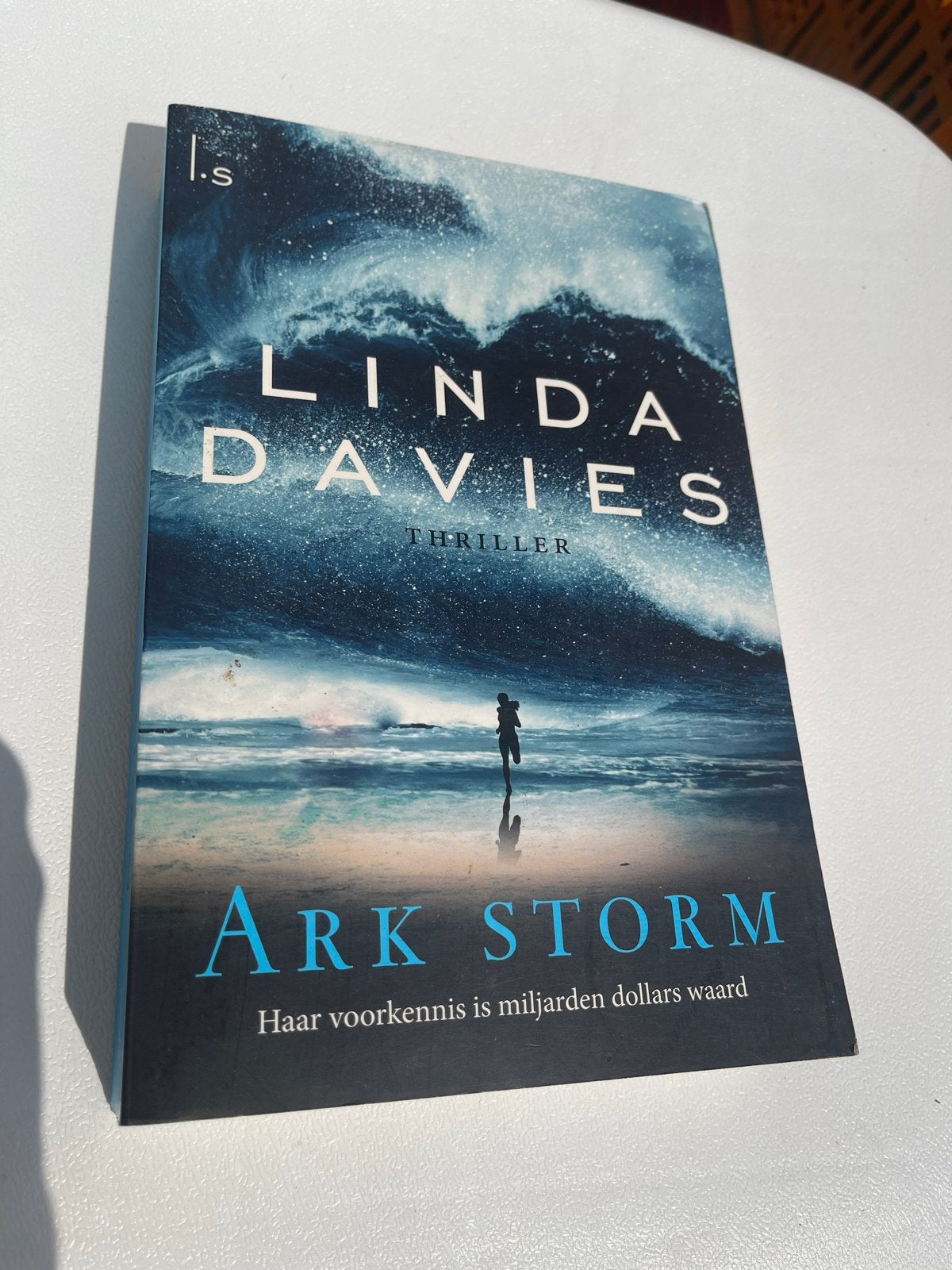 Linda Davies - Ark Storm (Thriller), Ophalen of Verzenden, Zo goed als nieuw