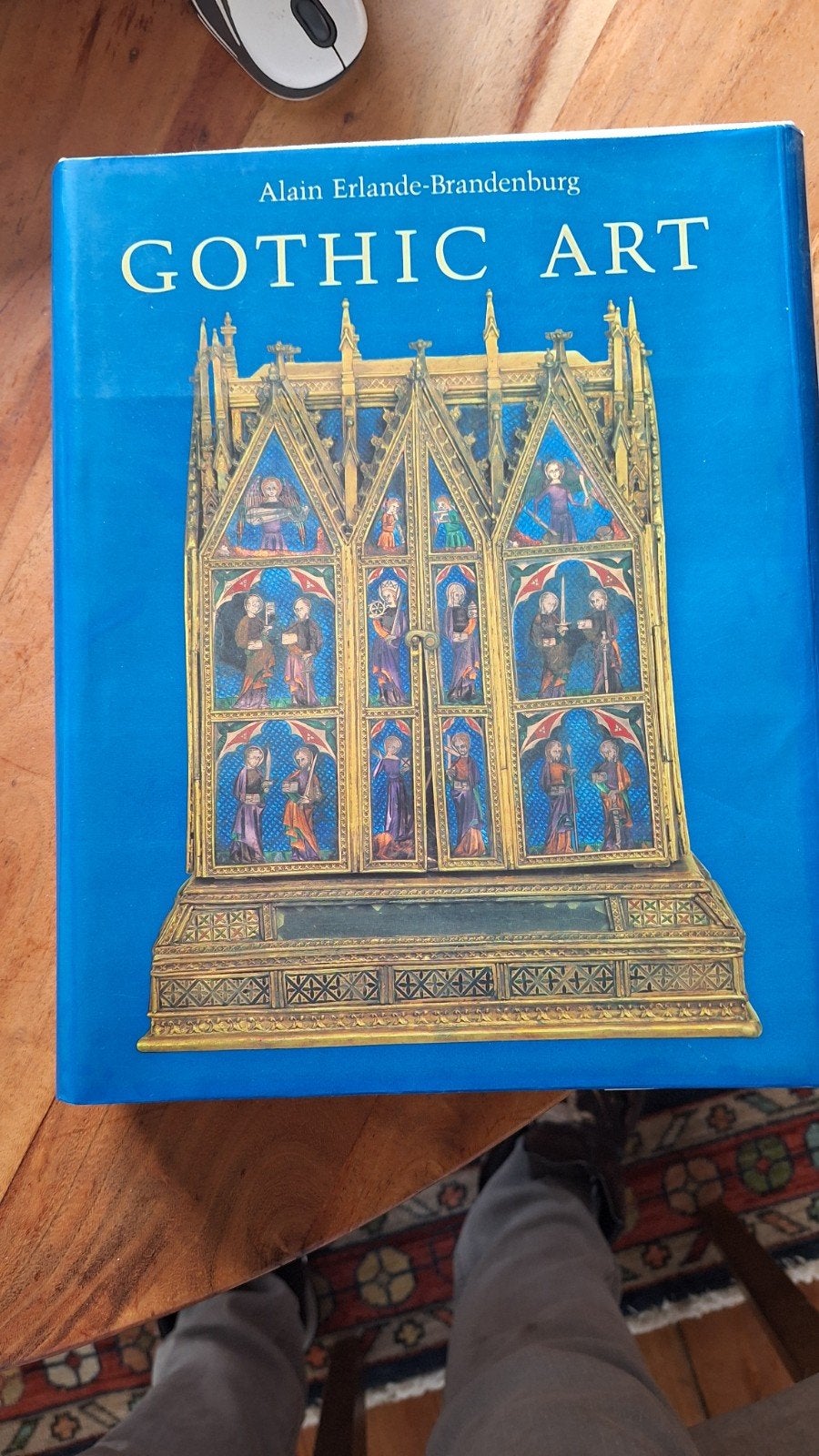 Gothic Art - Alain Erlande-Brandenburg, Ophalen of Verzenden, Zo goed als nieuw, Overige onderwerpen, Alain Erlande-Brandenburg