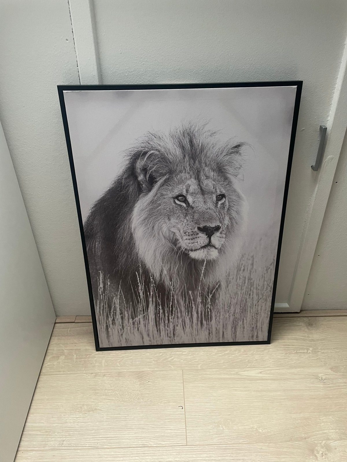 Mooi schilderij / kanvas doek leeuw, Ophalen of Verzenden, Zo goed als nieuw