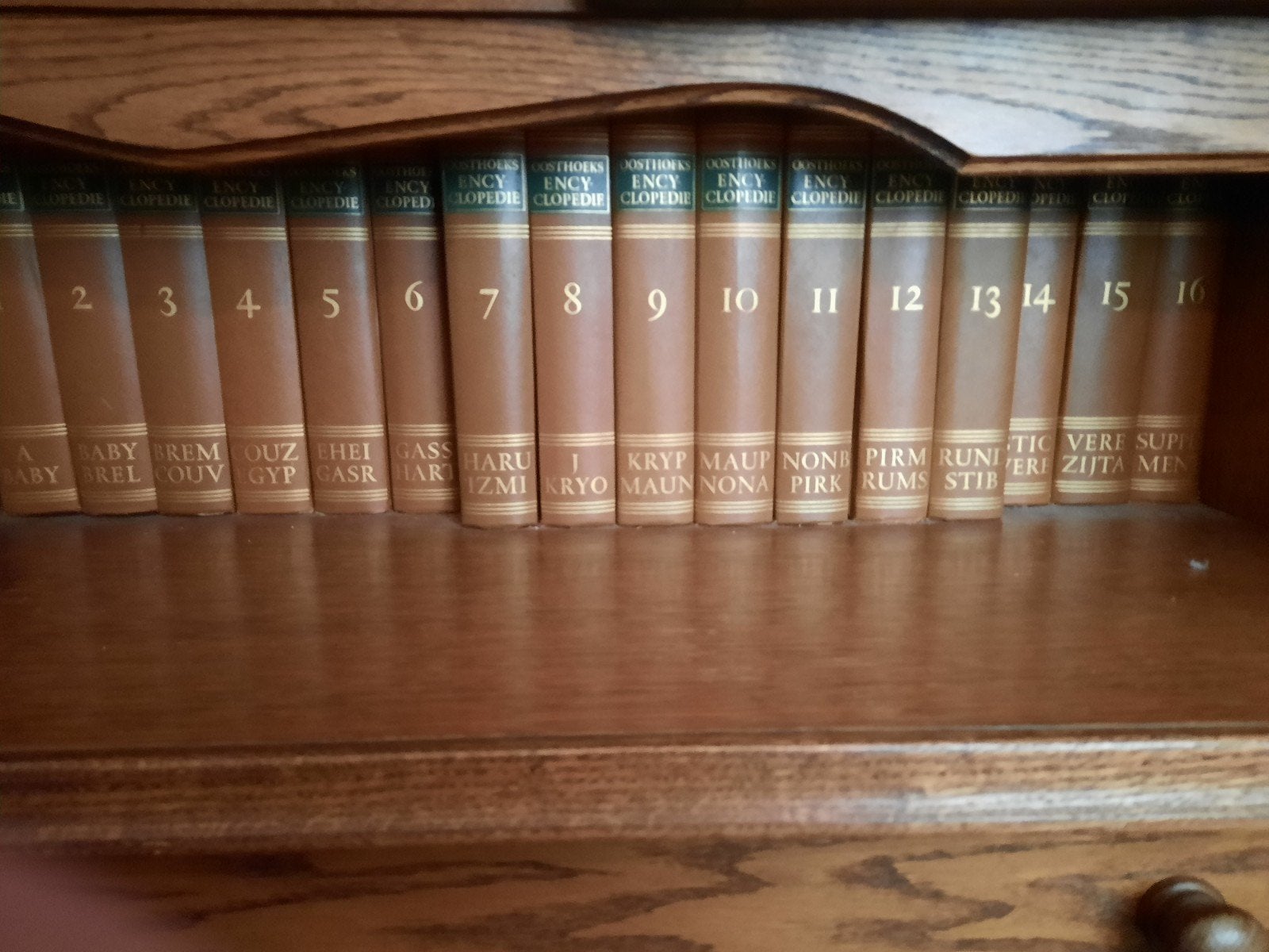 Oosthoeks Encyclopedie - Complete serie (16 delen), Boeken, Encyclopedieën, Ophalen, Gelezen, Algemeen, Complete serie
