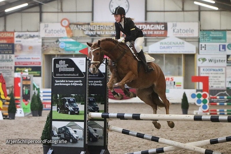 Fijne 15 jarige c pony te koop aangeboden, Dieren en Toebehoren, Met stamboom, Ruin, M, Springpony