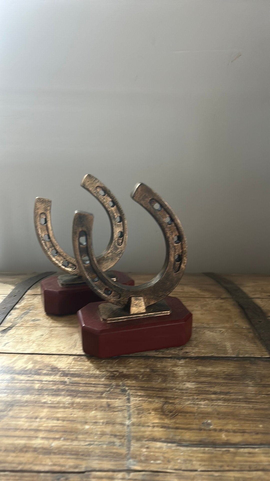 2x paarden trofee hoefijzer, Dieren en Toebehoren, Ophalen of Verzenden, Zo goed als nieuw