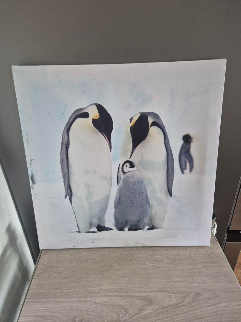 Foto op doek, Ophalen of Verzenden, Zo goed als nieuw