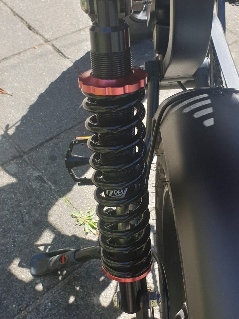 S20 pro fat bike limited edition, Ophalen, Zo goed als nieuw, La Souris