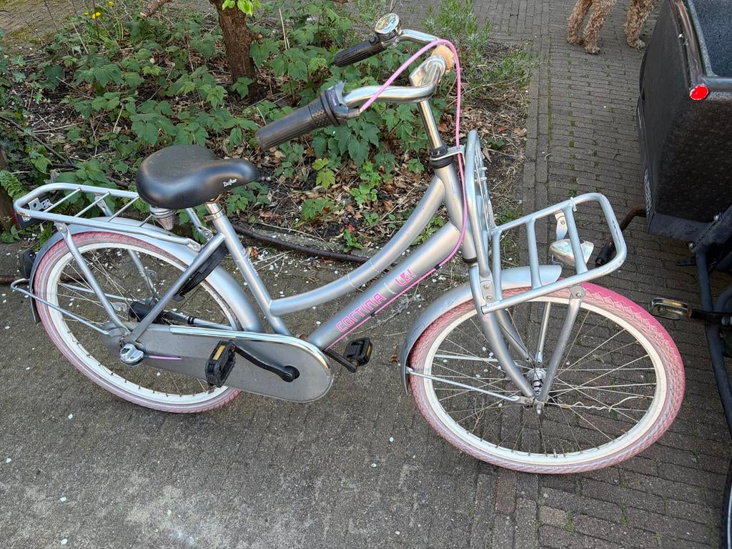 Loekie cortina meisjesfiets 24 inch - Zilver/Roze, Fietsen en Brommers, Fietsen | Meisjes, Terugtraprem, Ophalen of Verzenden