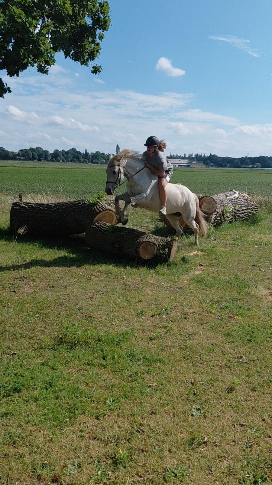 verzorger aangeboden/bijrijder aangeboden/lease pony gezocht, Ophalen of Verzenden