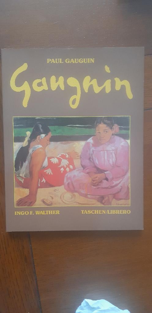 Paul Gauguin Schilderijen van een verschoppeling, Boeken, Ophalen of Verzenden, Zo goed als nieuw, Zie beschrijving, Schilder- en Tekenkunst