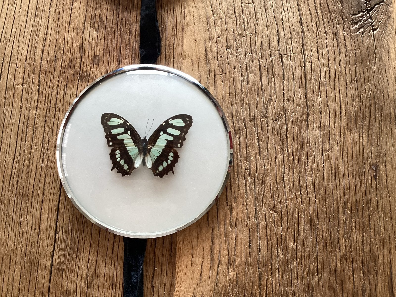 Prachtige vlinder in ronde zilverkleurige lijst 15 cm, Ophalen of Verzenden, Zo goed als nieuw, Insect, Opgezet dier
