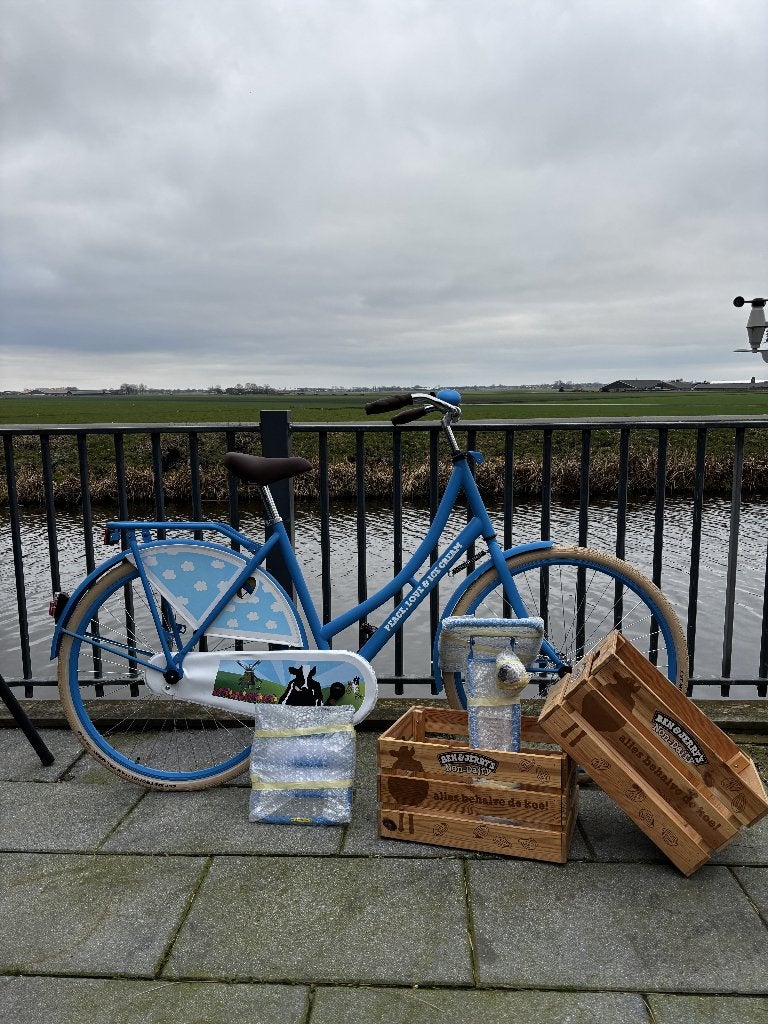 Unieke, volledig nieuwe Ben & Jerry's promotiefiets te koop., Terugtraprem, (Extra) lage instap, Nieuw, 50 tot 53 cm