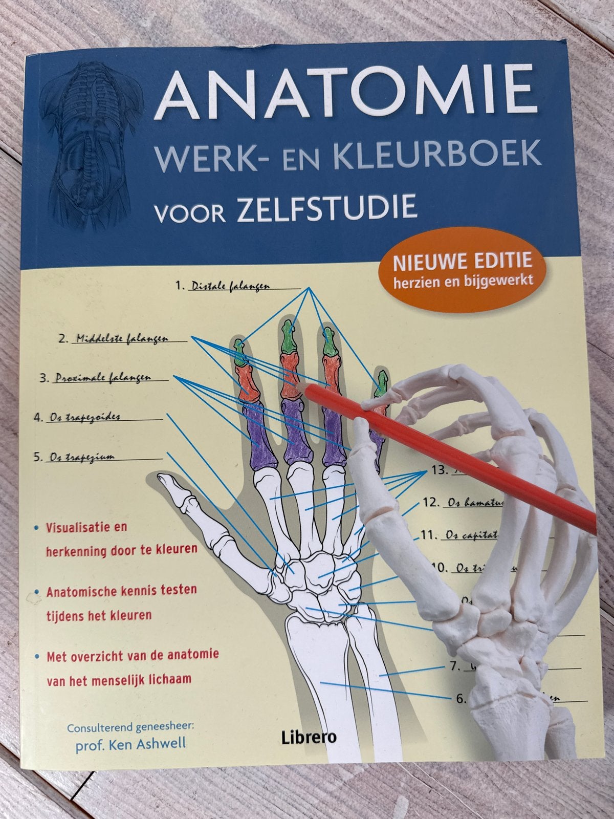 Anatomie Werk- en Kleurboek voor Zelfstudie - Nieuwe Editie, Boeken, Ophalen of Verzenden, Zo goed als nieuw, Natuurwetenschap