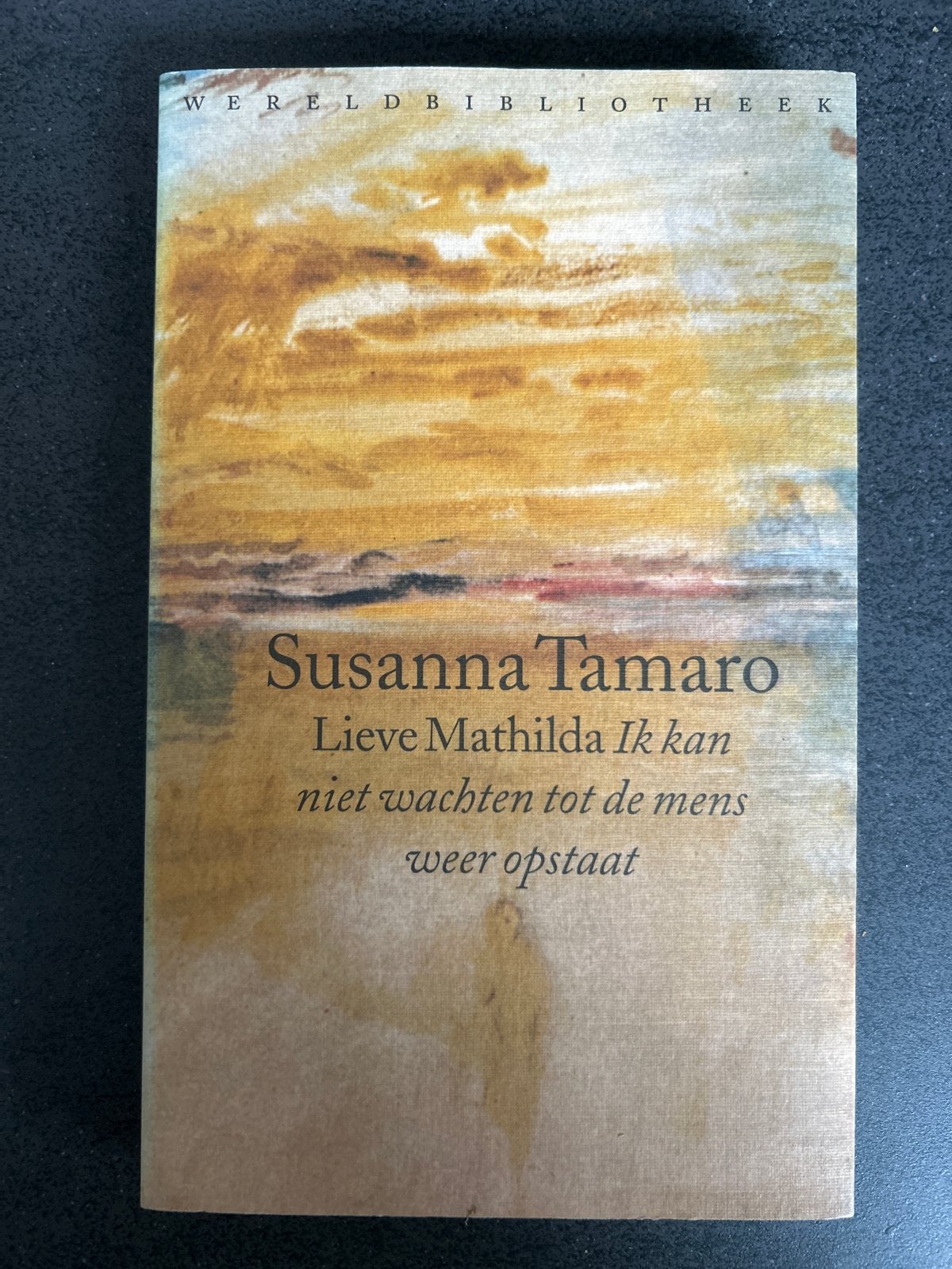 Lieve Mathilda - Susanna Tamaro (Wereldbibliotheek), Ophalen of Verzenden, Gelezen, Europa overig