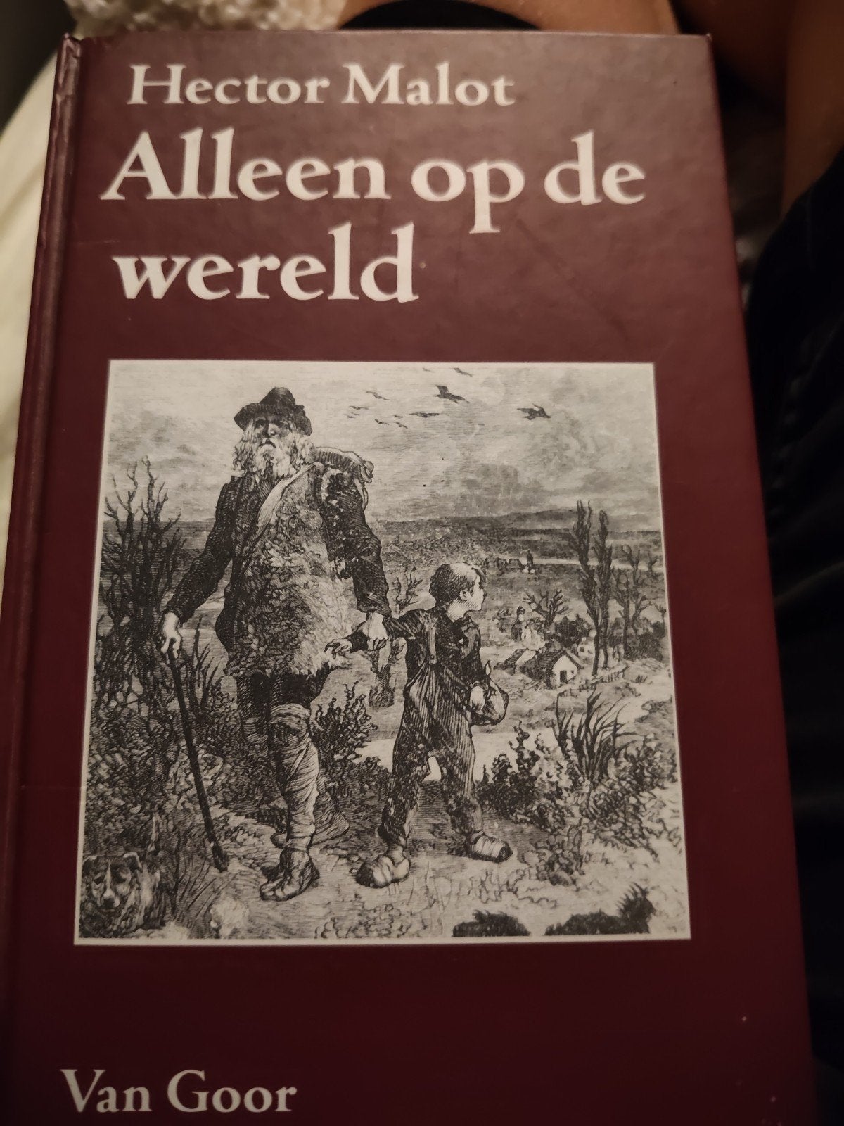 Alleen op de wereld - Hector Malot (Van Goor), Boeken, Ophalen of Verzenden, Zo goed als nieuw, Hector Malot, Nederland