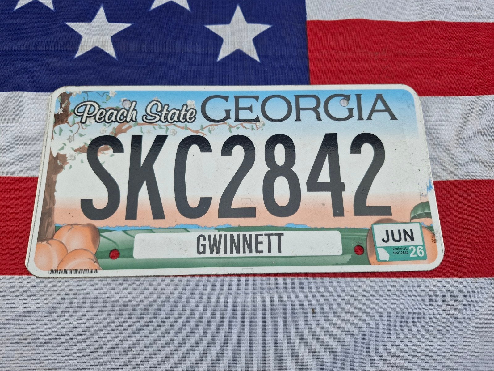 Kentekenplaat Georgia USA Nummerplaat nummerbord License VS, Verzenden, Gebruikt, Auto's